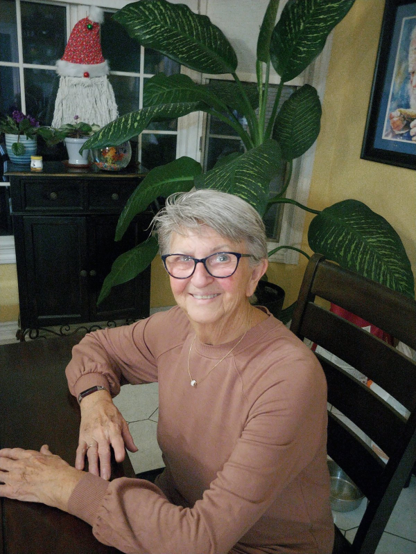  Judge Diane McIntee
